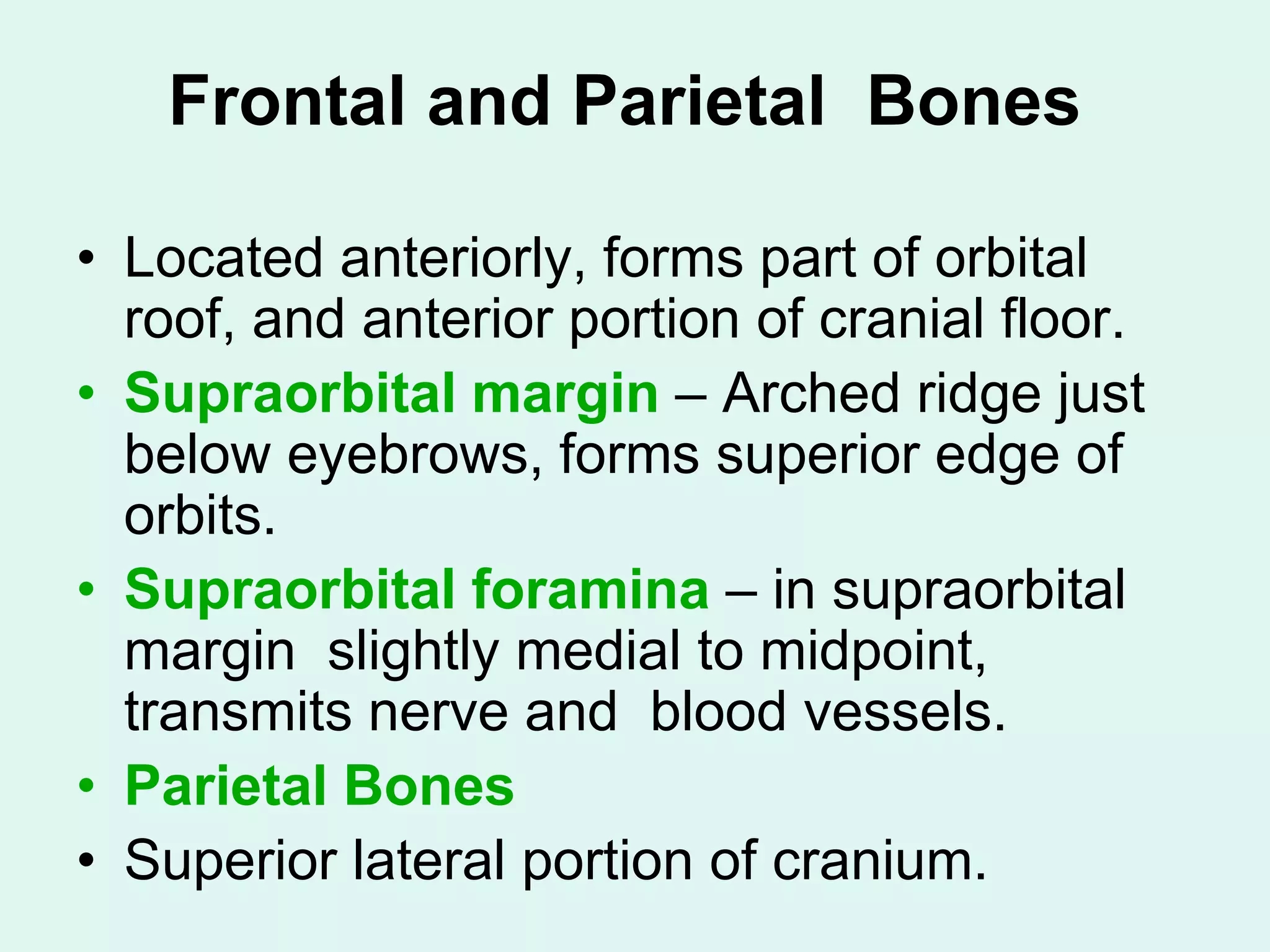 Frontal and Parietal Bones
• Located anteriorly, forms part of orbital
roof, and anterior portion of cranial floor.
• Supraorbital margin – Arched ridge just
below eyebrows, forms superior edge of
orbits.
• Supraorbital foramina – in supraorbital
margin slightly medial to midpoint,
transmits nerve and blood vessels.
• Parietal Bones
• Superior lateral portion of cranium.
 