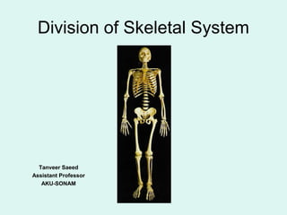 Division of Skeletal System
Tanveer Saeed
Assistant Professor
AKU-SONAM
 