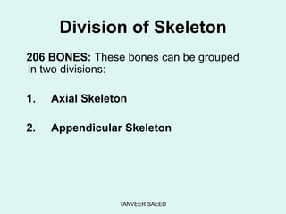 TANVEER SAEED
Division of Skeleton
206 BONES: These bones can be grouped
in two divisions:
1. Axial Skeleton
2. Appendicular Skeleton
 
