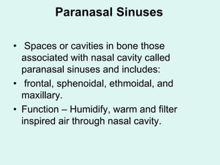 Paranasal Sinuses
• Spaces or cavities in bone those
associated with nasal cavity called
paranasal sinuses and includes:
• frontal, sphenoidal, ethmoidal, and
maxillary.
• Function – Humidify, warm and filter
inspired air through nasal cavity.
 