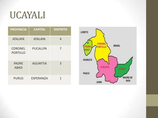 UCAYALI
PROVINCIA CAPITAL DISTRITO
ATALAYA ATALAYA 4
CORONEL
PORTILLO
PUCALLPA 7
PADRE
ABAD
AGUAYTIA 3
PURUS ESPERANZA 1
 
