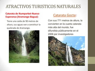 ATRACTIVOS TURISTICOS NATURALES
Catarata de Numparket-Nueva-
Esperanza (Aramango-Bagua):
Tiene una caída de 90 metros de
altura, sus aguas van a constituir la
quebrada de Aramango.
Catarata Gocta:
Con sus 771 metros de altura, la
convierten en la cuarta catarata
más alta del mundo, fue
difundida públicamente en el
2006 por investigadores
alemanes.
 