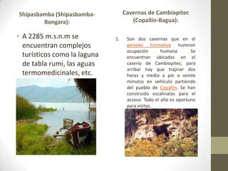 Shipasbamba (Shipasbamba-
Bongara):
• A 2285 m.s.n.m se
encuentran complejos
turísticos como la laguna
de tabla rumi, las aguas
termomedicinales, etc.
Cavernas de Cambiopitec
(Copallín-Bagua):
1. Son dos cavernas que en el
periodo Formativo tuvieron
ocupación humana. Se
encuentran ubicadas en el
caserío de Cambiopitec; para
arribar hay que trajinar dos
horas y media a pie o veinte
minutos en vehículo partiendo
del pueblo de Copallín. Se han
construido escalinatas para el
acceso. Todo el año es oportuno
para visitas.
 