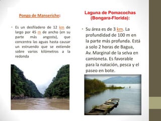 Pongo de Manseriche:
• Es un desfiladero de 12 km de
largo por 45 m de ancho (en su
parte más angosta), que
concentra las aguas hasta causar
un estruendo que se extiende
sobre varios kilómetros a la
redonda
Laguna de Pomacochas
(Bongara-Florida):
• Su área es de 3 km. La
profundidad de 100 m en
la parte más profunda. Está
a solo 2 horas de Bagua,
Av. Marginal de la selva en
camioneta. Es favorable
para la natación, pesca y el
paseo en bote.
 