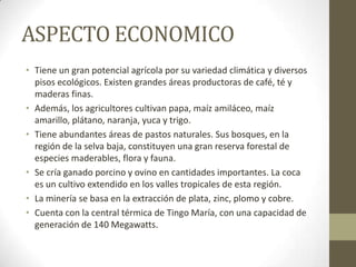 ASPECTO ECONOMICO
• Tiene un gran potencial agrícola por su variedad climática y diversos
pisos ecológicos. Existen grandes áreas productoras de café, té y
maderas finas.
• Además, los agricultores cultivan papa, maíz amiláceo, maíz
amarillo, plátano, naranja, yuca y trigo.
• Tiene abundantes áreas de pastos naturales. Sus bosques, en la
región de la selva baja, constituyen una gran reserva forestal de
especies maderables, flora y fauna.
• Se cría ganado porcino y ovino en cantidades importantes. La coca
es un cultivo extendido en los valles tropicales de esta región.
• La minería se basa en la extracción de plata, zinc, plomo y cobre.
• Cuenta con la central térmica de Tingo María, con una capacidad de
generación de 140 Megawatts.
 
