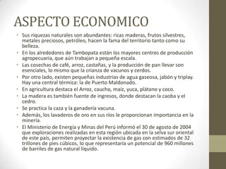 ASPECTO ECONOMICO
• Sus riquezas naturales son abundantes: ricas maderas, frutos silvestres,
metales preciosos, petróleo, hacen la fama del territorio tanto como su
belleza.
• En los alrededores de Tambopata están los mayores centros de producción
agropecuaria, que aún trabajan a pequeña escala.
• Las cosechas de café, arroz, castañas, y la producción de pan llevar son
esenciales, lo mismo que la crianza de vacunos y cerdos.
• Por otro lado, existen pequeñas industrias de agua gaseosa, jabón y triplay.
Hay una central térmica: la de Puerto Maldonado.
• En agricultura destaca el Arroz, caucho, maíz, yuca, plátano y coco.
• La madera es también fuente de ingresos, donde destacan la caoba y el
cedro.
• Se practica la caza y la ganadería vacuna.
• Además, los lavaderos de oro en sus ríos le proporcionan importancia en la
minería.
• El Ministerio de Energía y Minas del Perú informó el 30 de agosto de 2004
que exploraciones realizadas en esta región ubicada en la selva sur oriental
de este país, permiten proyectar la existencia de gas con estimados de 32
trillones de pies cúbicos, lo que representaría un potencial de 960 millones
de barriles de gas natural líquido.
 