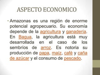 ASPECTO ECONOMICO
• Amazonas es una región de enorme
potencial agropecuario. Su economía
depende de la agricultura y ganadería.
En Bagua, la agricultura está muy
desarrollada en el caso de los
sembríos de arroz. Es notoria su
producción de papa, maíz, café y caña
de azúcar y el consumo de pescado.
 