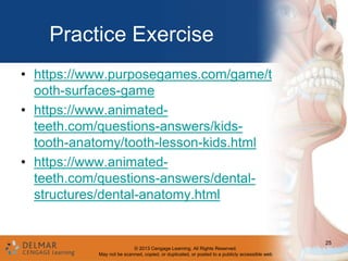 Tooth Surfaces Learning Divisions, surfaces and tissues of the tooth; surrounding structures | PPTX