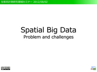 生態系計測研究領域セミナー 2012/08/02




          Spatial Big Data
           Problem and challenges
 