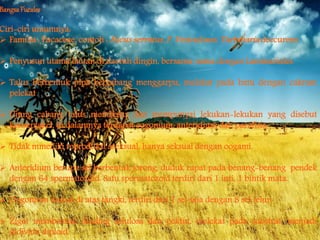 BangsaFucales
Ciri-ciri umumnya:
 Familia : Fucaceae, contoh : Fucus serratus, F. Vesiculosus, Turbinaria deccurens
 Penyusun utama lautan di daerah dingin, bersama-sama dengan Laminariales.
 Talus berbentuk pipa bercabang menggarpu, melekat pada batu dengan cakram
pelekat
 Ujung cabang talus membesar dan mempunyai lekukan-lekukan yang disebut
konseptakel, di dalamnya terdapat oogonium, anteridium dan parafisis.
 Tidak mmeiliki reproduksi aseksual, hanya seksual dengan oogami.
 Anteridium berupa sel berbentuk jorong, duduk rapat pada benang-benang pendek
dengan 64 spermatozoid. Satu spermatozoid terdiri dari 1 inti, 1 bintik mata.
 Oogonium duduk di atas tangki, terdiri dari 1 sel saja dengan 8 sel telur.
 Zigot membentuk dinding selulosa dan pektin, melekat pada substrat, menjadi
individu diploid.
 