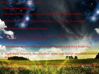 Rhodophyceae dibagi menjadi dua anak kelas, yaitu:
1. Anak kelas Bangieae (Protofloridae)
 Bentuk talus berupa benang, pita atau cakram tidak bercabang
 Reproduksi aseksual dengan monospora yang bergerak amoeboid
 Reproduksi seksual dengan oogami
 Oogonium sama bentuknya dengan sel-sel talus, kadang ada yang
memiliki trikogen/ alat tambahan
 Anteridium menghasilkan spermatium (sperma yang tidak bergerak).
 Zigot dapat langsung menghasilkan spora atau setelah membelah terlebih
dahulu.
 Familia Bangiaceae, contoh : Porphyridium cruentum, Bangia
artropurpurea.
 