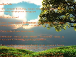 AnakkelasFloridae
Talus beragam bentuknya, berupa benang atau lembaran yang
bercabang menyirip atau menggarpu
Reproduksi seksual.
Gamet betina disebut karpogonium yang terdapat pada ujung
cabang yang lain, terdiri atas 1 sel panjang.
Ovum terdapat pada bagian bawah.
Spermatium melekat pada trikogin, protoplasnya masuk ke
karpogonium, setelah itu terjadilah pembuahan
Zigot membelah reduksi membentuk sel-sel penyusun benang
sporogen berisi karpospora (terdiri dari 1 inti dan 1 pastida)
Karpospora keluar dari sel-sel terminal benang sporogen,
 