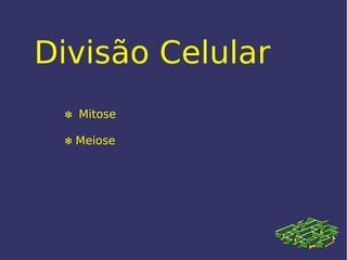 Divisão Celular ❇  Mitose ❇   Meiose 