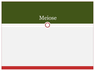 Meiose
 