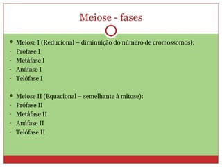 Meiose - fases
 Meiose I (Reducional – diminuição do número de cromossomos):
- Prófase I
- Metáfase I
- Anáfase I
- Telófase I
 Meiose II (Equacional – semelhante à mitose):
- Prófase II
- Metáfase II
- Anáfase II
- Telófase II
 