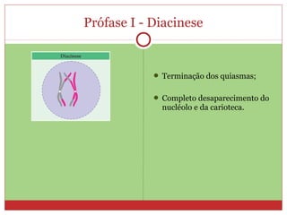 Prófase I - Diacinese
 Terminação dos quiasmas;
 Completo desaparecimento do
nucléolo e da carioteca.
 