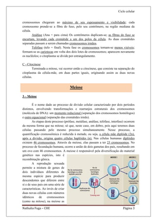 Ciclo celular


cromossomos chegaram ao máximo de seu espessamento e visibilidade; cada
cromossomo prende-se a fibra do fuso, pelo seu centrômero, na região mediana da
célula.
        Anáfase (Ana = para cima) Os centrômeros duplicam-se; as fibras do fuso se
encurtam, levando cada cromátide a um dos polos da célula. As duas cromátides
separadas passam a serem chamadas cromossomos irmãos.
        Telófase (telo = final). Nesta fase os cromossomos tornam-se menos visíveis;
formam-se as cariotecas em volta dos dois lotes de cromossomos; aparecem novamente
os nucléolos; o citoplasma se divide por estrangulamento.

C - Citocinese
        Terminada a mitose, vai ocorrer então a citocinese, que consiste na separação do
citoplasma da célula-mãe, em duas partes iguais, originando assim as duas novas
células.


                                      Meiose

3 – Meiose

        É o nome dado ao processo de divisão celular caracterizado por dois períodos
distintos, envolvendo transformações e rearranjos estruturais dos cromossomos
(molécula de DNA): um momento reducional (separação dos cromossomos homólogos)
e outro equacional (separação das cromátides irmãs).
        As etapas deste processo (prófase, metáfase, anáfase, telófase, interfase) ocorrem
da mesma forma que na mitose; só que, neste caso, em dobro, pois aqui teremos duas
células passando pelo mesmo processo simultaneamente. Nesse processo, a
quantificação cromossômica é reduzida à metade, ou seja, a célula mãe diplóide (2n),
após a divisão, origina quatro células haplóides (n). Nas células humanas diplóides
existem 46 cromossomos. Através da meiose, elas passam a ter 23 cromossomos. No
processo de fecundação humana, ocorre a união de dois gametas dos pais, resultando em
um ovo com 46 cromossomos. A meiose é responsável pela diversificação do material
genético nas espécies, isto é
recombinação gênica.
        A reprodução sexuada
permite a mistura de genes de
dois indivíduos diferentes da
mesma espécie para produzir
descendentes que diferem entre
si e de seus pais em uma série de
características. Ao invés de criar
duas novas células com números
idênticos     de    cromossomos
(como na mitose), na meiose as

Nathalia Fuga – CHE                                                             Página 3
 