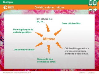 Biologia

                                      Divisão celular: mitose



                                       Em células n, e
                                       2n, 3n...
                                                            Duas células-filha

            Uma duplicação do
            material genético.


                                             Mitose

                                                                Células-filha genética e
             Uma divisão celular
                                                                cromossomicamente
                                                                idênticas à célula-mãe.

                                        Separação das
                                        cromátides-irmãs.



Atualizado em 6 de dezembro de 2011                                          Caderno 3 | Capítulo 2
 