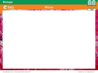 Biologia

                                      Mitose




Atualizado em 6 de dezembro de 2011            Caderno 3 | Capítulo 2
 
