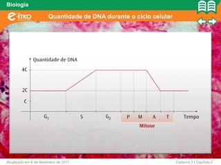 Biologia

                       Quantidade de DNA durante o ciclo celular




Atualizado em 6 de dezembro de 2011                                Caderno 3 | Capítulo 2
 
