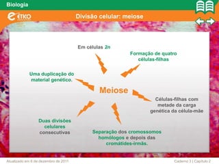 Biologia

                                      Divisão celular: meiose



                                      Em células 2n
                                                        Formação de quatro
                                                           células-filhas


            Uma duplicação do
            material genético.

                                              Meiose
                                                                  Células-filhas com
                                                                   metade da carga
                                                                genética da célula-mãe

                  Duas divisões
                    celulares
                  consecutivas             Separação dos cromossomos
                                             homólogos e depois das
                                                cromátides-irmãs.


Atualizado em 6 de dezembro de 2011                                      Caderno 3 | Capítulo 2
 