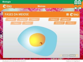Biologia

                                      Meiose




Atualizado em 6 de dezembro de 2011            Caderno 3 | Capítulo 2
 