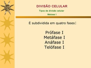 DIVISÃO CELULAR
      Tipos de divisão celular
              Meiose I



É subdividida em quatro fases:


          Prófase I
          Metáfase I
          Anáfase I
          Telófase I
 