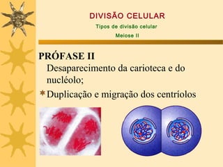 DIVISÃO CELULAR
             Tipos de divisão celular
                    Meiose II



PRÓFASE II
 Desaparecimento da carioteca e do
 nucléolo;
Duplicação e migração dos centríolos
 