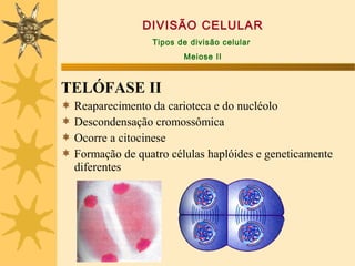 DIVISÃO CELULAR
                   Tipos de divisão celular
                          Meiose II



TELÓFASE II
   Reaparecimento da carioteca e do nucléolo
   Descondensação cromossômica
   Ocorre a citocinese
   Formação de quatro células haplóides e geneticamente
    diferentes
 