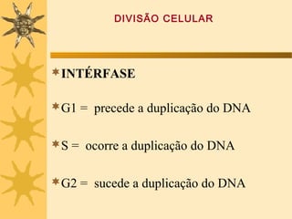 DIVISÃO CELULAR




INTÉRFASE

G1 = precede a duplicação do DNA


S = ocorre a duplicação do DNA


G2 = sucede a duplicação do DNA
 