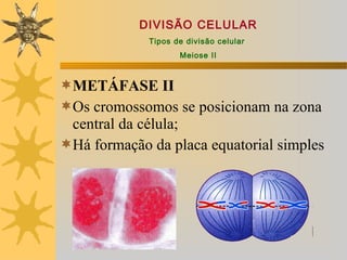 DIVISÃO CELULAR
             Tipos de divisão celular
                    Meiose II



METÁFASE II
Os cromossomos se posicionam na zona
 central da célula;
Há formação da placa equatorial simples
 
