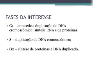 FASES DA INTERFASE
• G1 – antecede a duplicação do DNA
cromossômico; síntese RNA e de proteínas.

• S – duplicação de DNA cromossômico;
• G2 – síntese de proteínas e DNA duplicado,

 