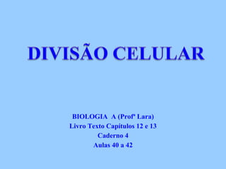 BIOLOGIA A (Profª Lara)
Livro Texto Capítulos 12 e 13
Caderno 4
Aulas 40 a 42
 