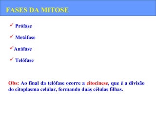 Obs: Ao final da telófase ocorre a citocinese, que é a divisão
do citoplasma celular, formando duas células filhas.
FASES DA MITOSE
 Prófase
 Metáfase
Anáfase
 Telófase
 