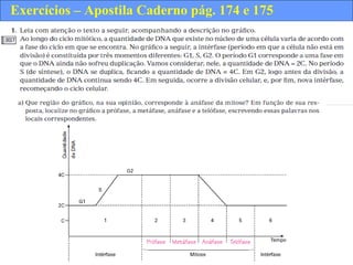 Exercícios – Apostila Caderno pág. 174 e 175
 