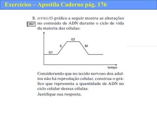 Exercícios – Apostila Caderno pág. 176
 