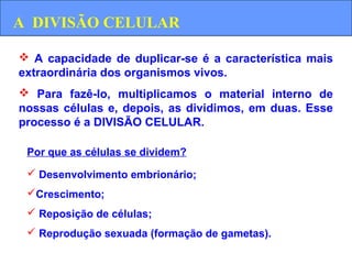  A capacidade de duplicar-se é a característica mais
extraordinária dos organismos vivos.
 Para fazê-lo, multiplicamos o material interno de
nossas células e, depois, as dividimos, em duas. Esse
processo é a DIVISÃO CELULAR.
Por que as células se dividem?
 Desenvolvimento embrionário;
Crescimento;
 Reposição de células;
 Reprodução sexuada (formação de gametas).
A DIVISÃO CELULAR
 