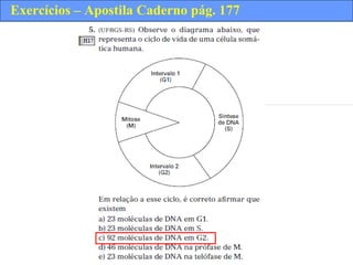 Exercícios – Apostila Caderno pág. 177
 