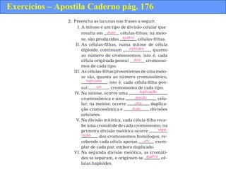 Exercícios – Apostila Caderno pág. 176
 