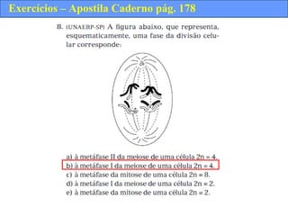 Exercícios – Apostila Caderno pág. 178
 