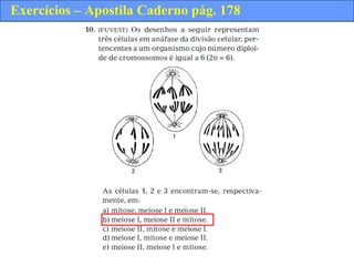 Exercícios – Apostila Caderno pág. 178
 