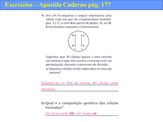 Exercícios – Apostila Caderno pág. 177
 