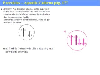 Exercícios – Apostila Caderno pág. 177
 