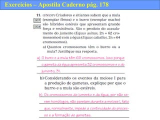 Exercícios – Apostila Caderno pág. 178
 