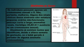 Os indivíduos possuem apenas um
cromossomo sexual: o X. São,
portanto, mulheres. Alguns dos sinais
clínicos dessa síndrome são: estatura
pequena; ovários não-funcionais;
pescoço curto e largo; anomalias
renais. Cariótipo: 45,X0 (0 = ausência
de um cromossomo sexual).
Atualmente já existem testes que
identificam, desde a oitava semana
de gestação, se o bebê gerado é
portador de alguma anomalia
cromossômica.
Síndrome de Turner
(obstáculo à circulação
arterial)
 