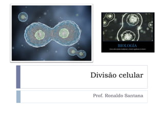 Divisão celular
Prof. Ronaldo Santana
 