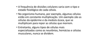 • A frequência de divisões celulares varia com o tipo e
estado fisiológico de cada célula.
• No organismo humano, por exemplo, algumas células
estão em constante multiplicação. Um exemplo são as
células da epiderme e da medula óssea, que se
multiplicam para repor as células que morrem.
• Entretanto, alguns tipos de células mais
especializadas como os neurônios, hemácias e células
musculares, nunca se dividem.
 