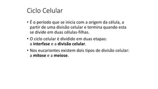 Ciclo Celular
• É o período que se inicia com a origem da célula, a
partir de uma divisão celular e termina quando esta
se divide em duas células-filhas.
• O ciclo celular é dividido em duas etapas:
a interfase e a divisão celular.
• Nos eucariontes existem dois tipos de divisão celular:
a mitose e a meiose.
 