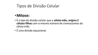 Tipos de Divisão Celular
•Mitose:
• É o tipo de divisão celular que a célula-mãe, origina 2
células-filhas com o mesmo número de cromossomos da
célula-mãe.
• É uma divisão equacional.
 
