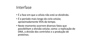 Interfase
• É a fase em que a célula não está se dividindo.
• É o período mais longo do ciclo celular,
aproximadamente 95% do tempo.
• Neste momento ocorrem diversos fatos que
possibilitam a divisão celular, como: a replicação do
DNA, a divisão dos centríolos e a produção de
proteínas.
 